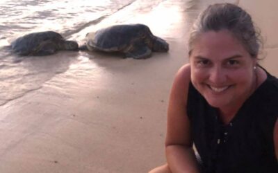 What Sea Turtles Have Taught Me About Real Estate