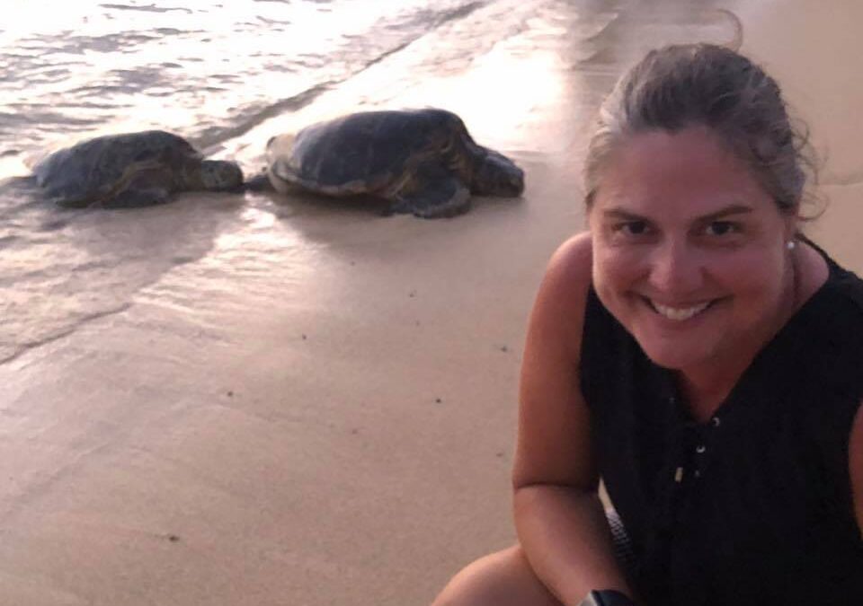 What Sea Turtles Have Taught Me About Real Estate